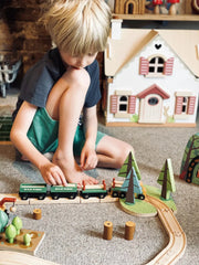Wild Pines Wooden Train Set - Tender Leaf Toys | Wooden Toy NZ by Curious Moonbeam