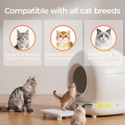 Automatic Self-Cleaning Smart Cat Litter Box by dealonline.co.nz