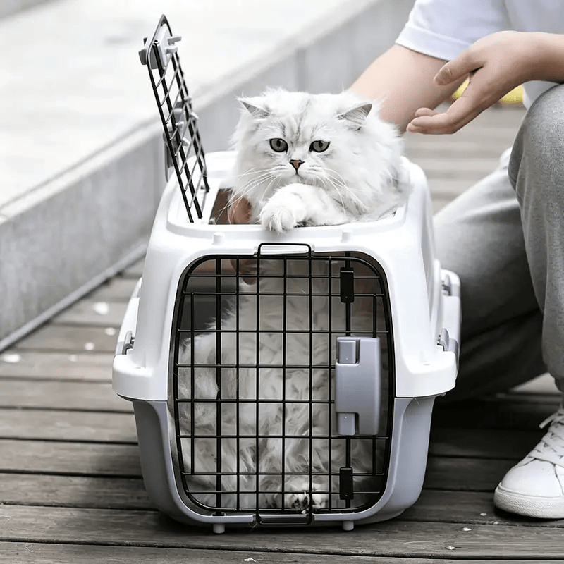 dealonline.co.nz dealonlinenz 58CM Dog/Cat Airline Travel Cage/Carrier 58CM Dog/Cat Airline Travel Cage/Carrier