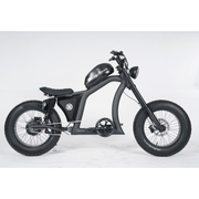 Kiwi eRide Kiwi eRide Mangosteen 48V 22.5Ah FT-02 ELECTRIC BIKE E-BIKE BLACK Mangosteen 48V 22.5Ah FT-02 ELECTRIC BIKE E-BIKE BLACK