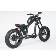 Kiwi eRide Kiwi eRide Mangosteen 48V 22.5Ah FT-02 ELECTRIC BIKE E-BIKE BLACK Mangosteen 48V 22.5Ah FT-02 ELECTRIC BIKE E-BIKE BLACK
