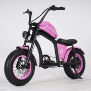 Kiwi eRide Kiwi eRide Mangosteen FT-02 MINI 48V15AH ELECTRIC BIKE PINK Mangosteen FT-02 MINI 48V15AH ELECTRIC BIKE PINK