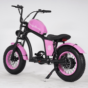 Kiwi eRide Kiwi eRide Mangosteen FT-02 MINI 48V15AH ELECTRIC BIKE PINK Mangosteen FT-02 MINI 48V15AH ELECTRIC BIKE PINK