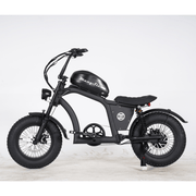 Kiwi eRide Kiwi eRide Mangosteen FT-02 MINI 48V15AH ELECTRIC BIKE BLACK Mangosteen FT-02 MINI 48V15AH ELECTRIC BIKE BLACK