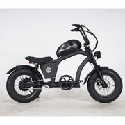 Kiwi eRide Kiwi eRide Mangosteen FT-02 MINI 48V15AH ELECTRIC BIKE BLACK Mangosteen FT-02 MINI 48V15AH ELECTRIC BIKE BLACK