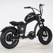 Kiwi eRide Kiwi eRide Mangosteen FT-02 MINI 48V15AH ELECTRIC BIKE BLACK Mangosteen FT-02 MINI 48V15AH ELECTRIC BIKE BLACK