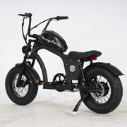 Kiwi eRide Kiwi eRide Mangosteen FT-02 MINI 48V15AH ELECTRIC BIKE BLACK Mangosteen FT-02 MINI 48V15AH ELECTRIC BIKE BLACK