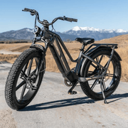 Kiwi eRide Kiwi eRide FIIDO Titan Electric Bike Fat Tire Touring E-bike FIIDO Titan Electric Bike Fat Tire Touring E-bike