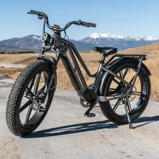 Kiwi eRide Kiwi eRide FIIDO Titan Electric Bike Fat Tire Touring E-bike FIIDO Titan Electric Bike Fat Tire Touring E-bike