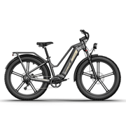 Kiwi eRide Kiwi eRide FIIDO Titan Electric Bike Fat Tire Touring E-bike FIIDO Titan Electric Bike Fat Tire Touring E-bike