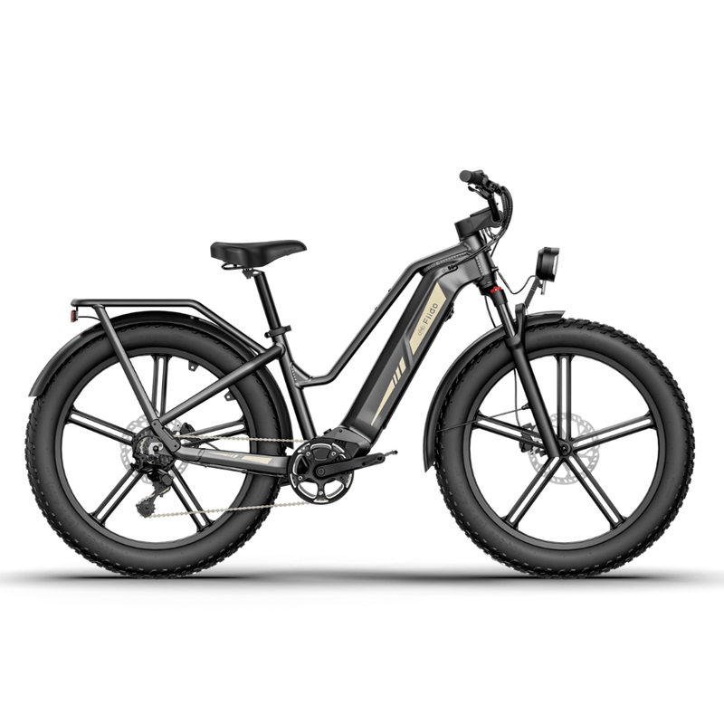 Kiwi eRide Kiwi eRide FIIDO Titan Electric Bike Fat Tire Touring E-bike FIIDO Titan Electric Bike Fat Tire Touring E-bike
