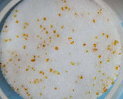 Silica Gel Flower Drying Crystals Indicator by Resin Art NZ