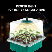 Heightened Seedling Tray Kit with Light by salelink.co.nz