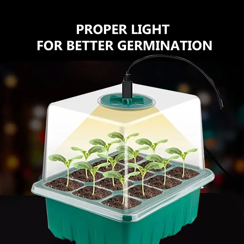 Heightened Seedling Tray Kit with Light by salelink.co.nz