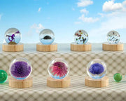Sphere Silicone Resin Mould, Round Silicone Moulds, Epoxy Resin Ball Mould for Resin Jewelry, Flat Bottom by Resin Art NZ