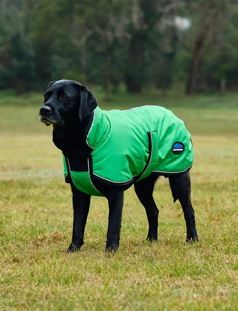 WeatherBeeta ComFiTec Reflective 300D Deluxe Showerproof Dog Coat by WeatherBeeta