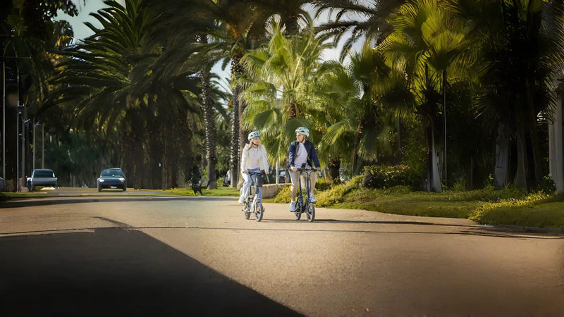 Kiwi eRide Kiwi eRide Fiido D3 Pro Folding Electric Bike Fiido D3 Pro Folding Electric Bike