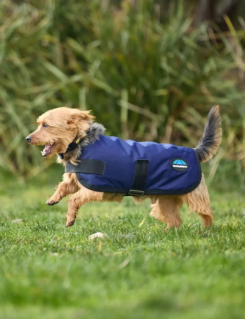 WeatherBeeta ComFiTec Classic Waterproof Dog Coat by WeatherBeeta