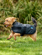 WeatherBeeta ComFiTec Classic Waterproof Dog Coat by WeatherBeeta