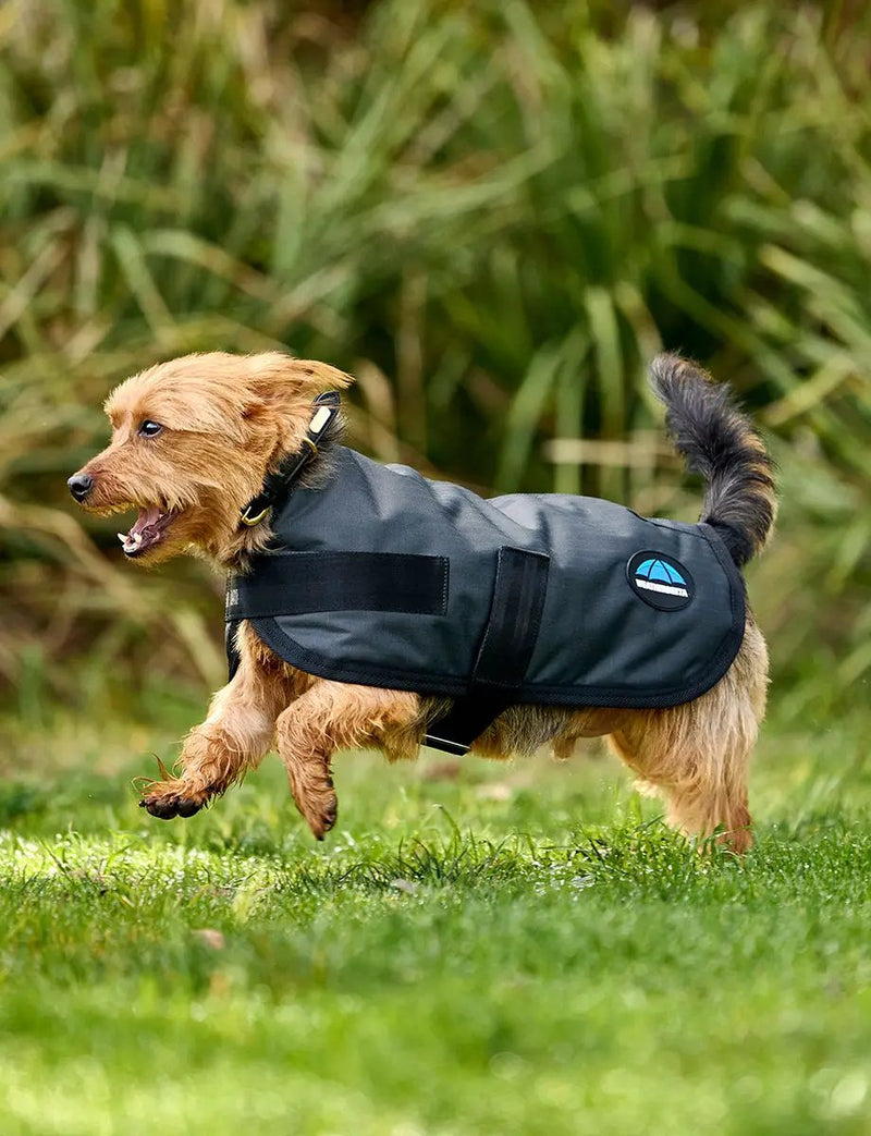 WeatherBeeta ComFiTec Classic Waterproof Dog Coat by WeatherBeeta
