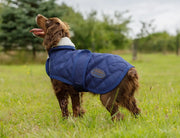 WeatherBeeta ComFiTec Deluxe Diamond Quilt Dog Coat by WeatherBeeta