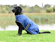 WeatherBeeta ComFiTec Windbreaker Free Dog Coat by WeatherBeeta