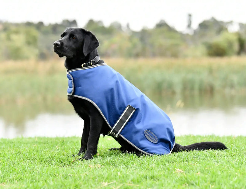 WeatherBeeta ComFiTec Windbreaker Free Dog Coat by WeatherBeeta