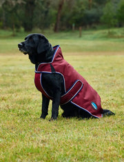 WeatherBeeta ComFiTec Premier Deluxe Waterproof Dog Coat by WeatherBeeta