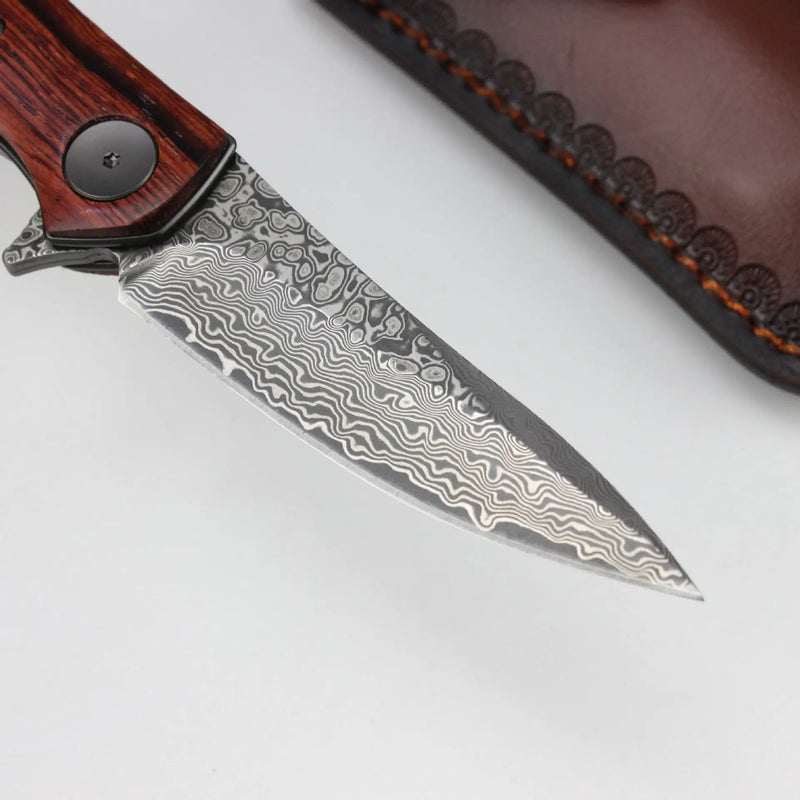 Color Shell Handle Damascus Steel Knife Colored Shell by China Dropship
