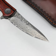 Color Shell Handle Damascus Steel Knife Wooden Handle by China Dropship
