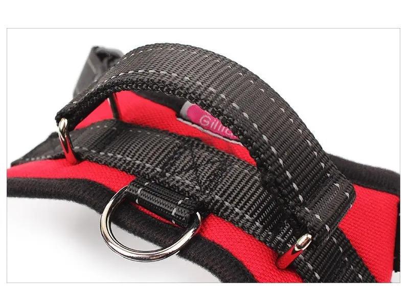 Dog Harness Set Pet Adjustable Chest Strap Walking Collar Vest by dealonline.co.nz