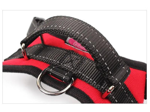 Dog Harness Set Pet Adjustable Chest Strap Walking Collar Vest by dealonline.co.nz