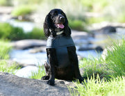 WeatherBeeta Explorer Lite Dog Coat by WeatherBeeta