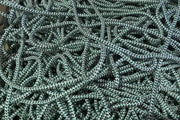 7mm braided lead core rope x 1m by Action Fishing Nets