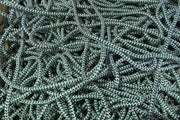 Braided Lead Core Rope 6mm 100g | Marine & Net Weighting by Action Fishing Nets