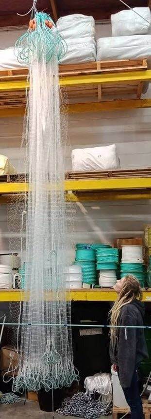 2-1/2 inch  0.50mm x 25md and 40md x  20m 30m 40m 60m 100m hanging in warehouse with woman looking up.