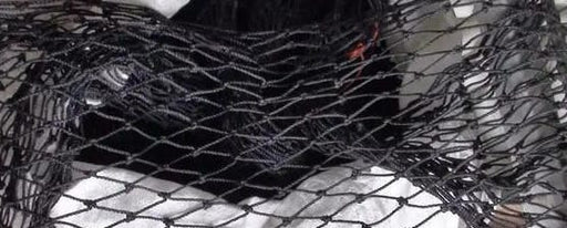 Action Fishing Nets Nets Cray Pot Mesh 60ply 3inch 20MD Black Per Meter Cray Pot Mesh 60 Ply 3 Inch 25MD Black Per Meter