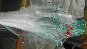 Mullet Nets Mono 20m 30m 40m 50m 60m 100m 90mm & 100mm displayed with lead-core rope and floats.