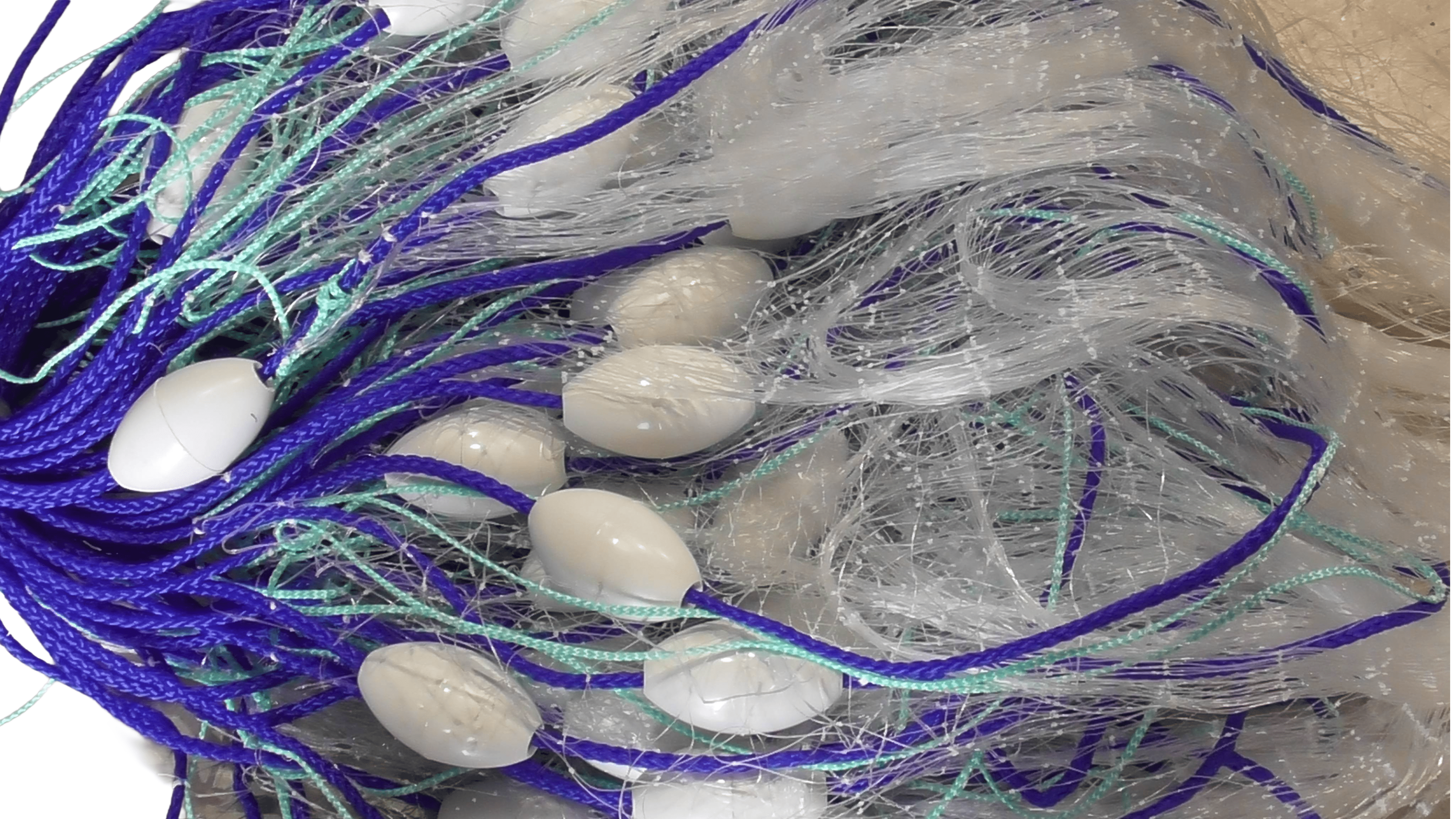 Action Fishing Nets Mullet Fishing Nets 0.5mm x 1.4M Mesh Deep NZ & PI Mullet Fishing Mono  Net