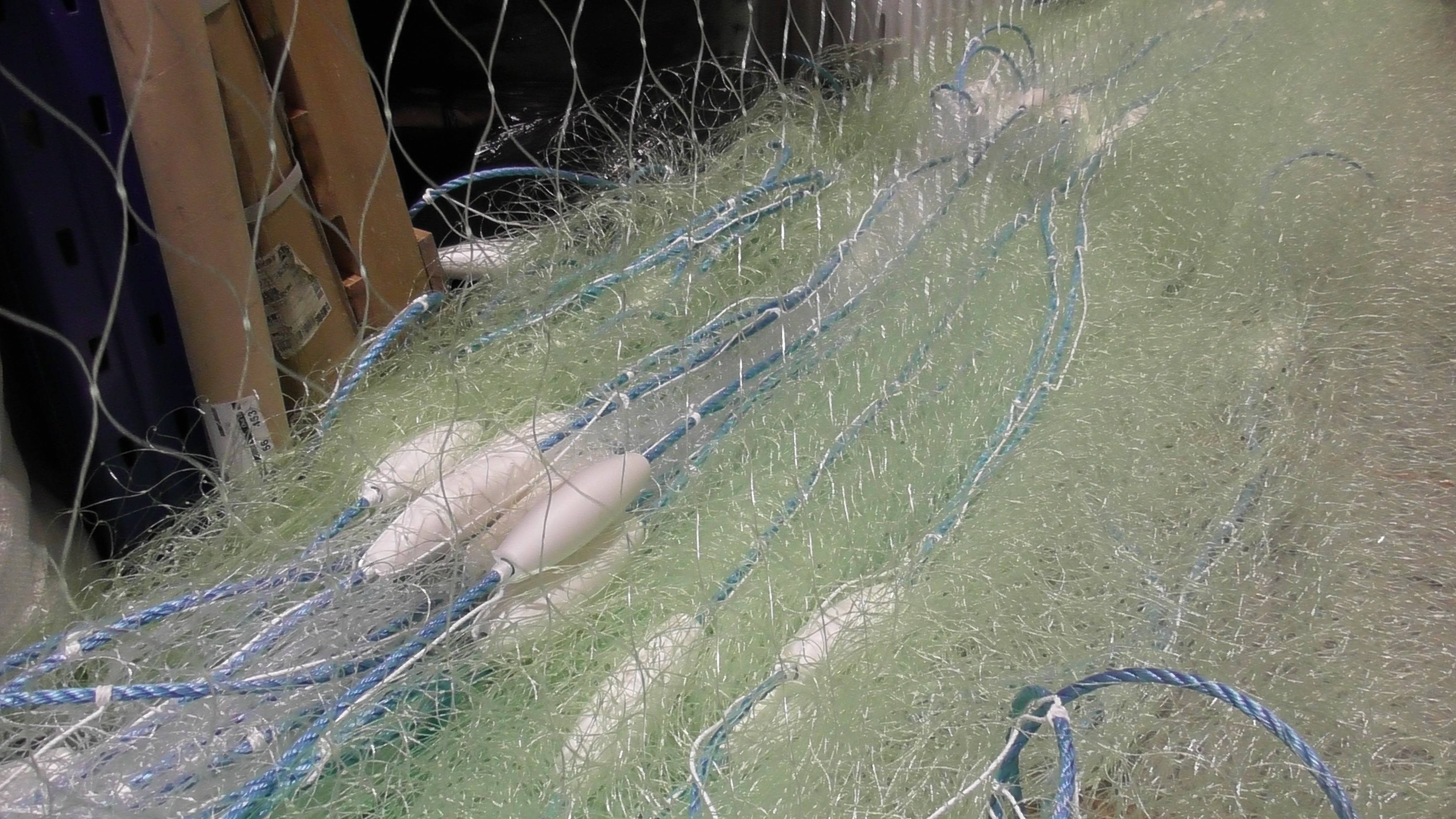 500m Commercial Mullet Fishing net showing multi mono mesh with whisper floats and lead core rope.