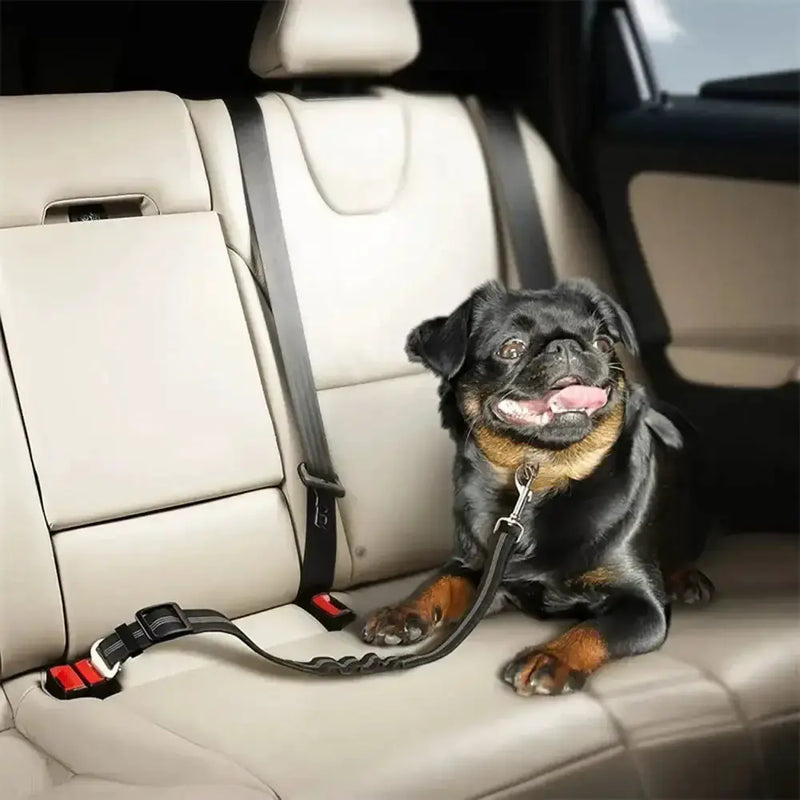 Adjustable Vehicle Harness for Dogs (available in different colors) by Habicare
