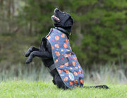 WeatherBeeta ComFiTec Premier Free Parka Dog Coat Medium by WeatherBeeta