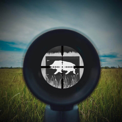 View through a rifle scope at a wild boar silhouette target, demonstrating Allen EZ Aim Target Infrared ID Boar 24″ x 12″.