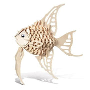 Angel Fish by 9eight5