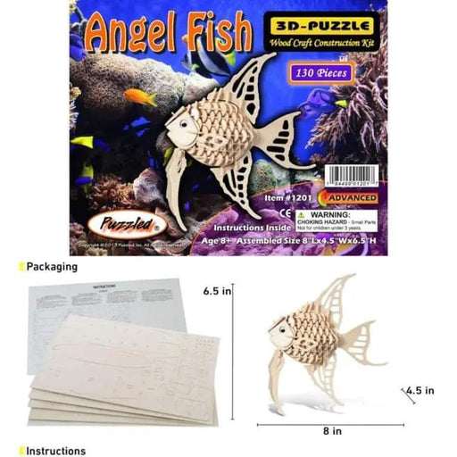 Angel Fish by 9eight5