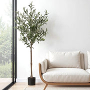 SportZone.co.nz Home & Garden > Artificial Plants > Artificial Trees Artiss 155cm Artificial Olive Tree Faux Trees Indoor Decor Artificial Plants Lifelike Plant Artiss 155cm Artificial Olive Tree Faux Trees Indoor Decor Artificial Plants Lifelike Plant