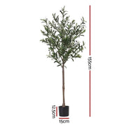 SportZone.co.nz Home & Garden > Artificial Plants > Artificial Trees Artiss 155cm Artificial Olive Tree Faux Trees Indoor Decor Artificial Plants Lifelike Plant Artiss 155cm Artificial Olive Tree Faux Trees Indoor Decor Artificial Plants Lifelike Plant