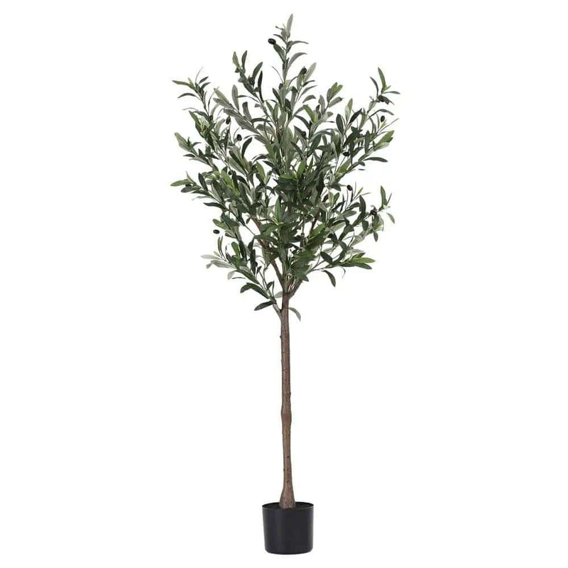 SportZone.co.nz Home & Garden > Artificial Plants > Artificial Trees Artiss 155cm Artificial Olive Tree Faux Trees Indoor Decor Artificial Plants Lifelike Plant Artiss 155cm Artificial Olive Tree Faux Trees Indoor Decor Artificial Plants Lifelike Plant
