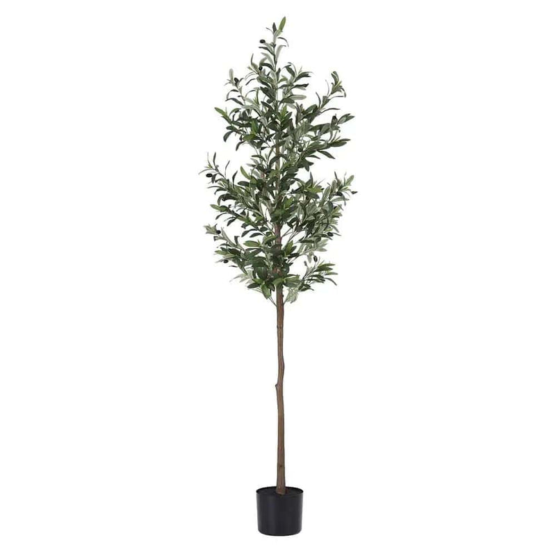 SportZone.co.nz Home & Garden > Artificial Plants > Artificial Trees Artiss 180cm Artificial Olive Tree Faux Trees Indoor Decor Artificial Plants Lifelike Plant 1.8M Artiss 180cm Artificial Olive Tree Faux Trees Indoor Decor Artificial Plants Lifelike Plant 1.8M