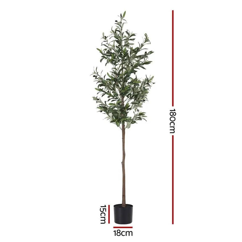 SportZone.co.nz Home & Garden > Artificial Plants > Artificial Trees Artiss 180cm Artificial Olive Tree Faux Trees Indoor Decor Artificial Plants Lifelike Plant 1.8M Artiss 180cm Artificial Olive Tree Faux Trees Indoor Decor Artificial Plants Lifelike Plant 1.8M